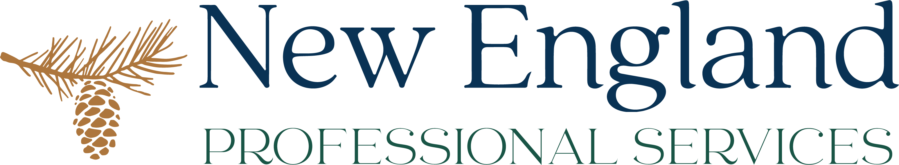 New England Professional Services, LLC